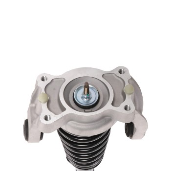 Suspension Strut and Coil Spring Assembly