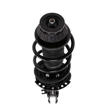 Suspension Strut and Coil Spring Assembly
