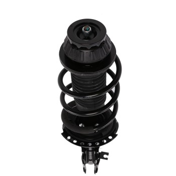 Suspension Strut and Coil Spring Assembly
