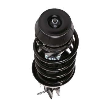 Suspension Strut and Coil Spring Assembly