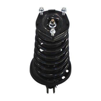 Suspension Strut and Coil Spring Assembly
