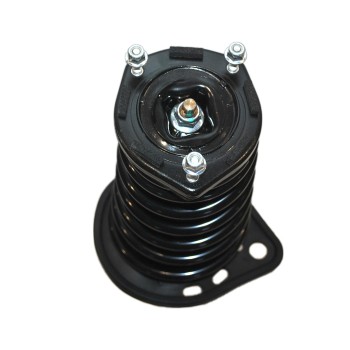 Suspension Strut and Coil Spring Assembly