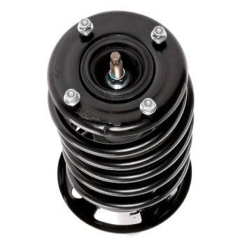 Suspension Strut and Coil Spring Assembly