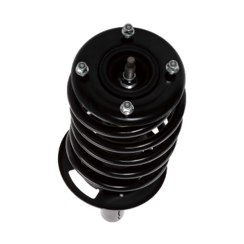 Suspension Strut and Coil Spring Assembly