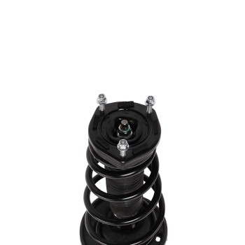 Suspension Strut and Coil Spring Assembly