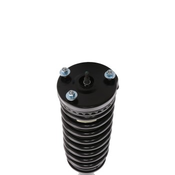 Suspension Strut and Coil Spring Assembly