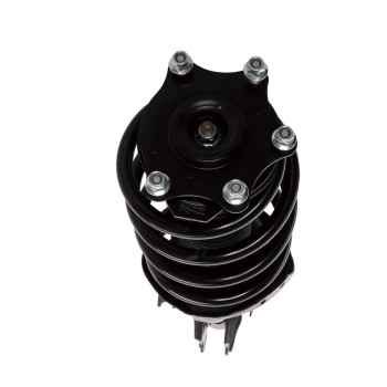 Suspension Strut and Coil Spring Assembly