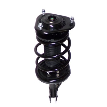 Suspension Strut and Coil Spring Assembly
