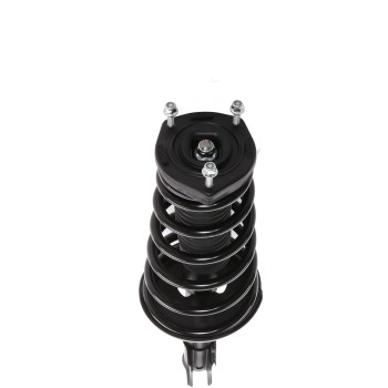 Suspension Strut and Coil Spring Assembly