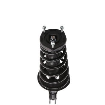 Suspension Strut and Coil Spring Assembly
