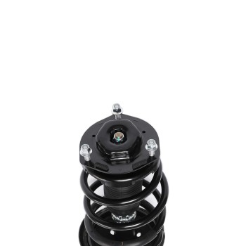 Suspension Strut and Coil Spring Assembly