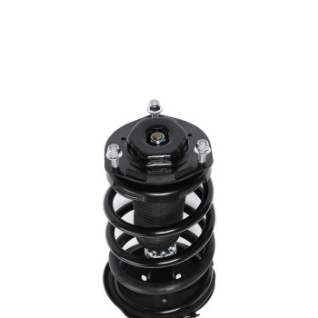 Suspension Strut and Coil Spring Assembly