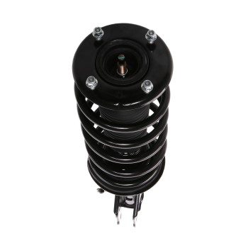 Suspension Strut and Coil Spring Assembly