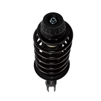 Suspension Strut and Coil Spring Assembly