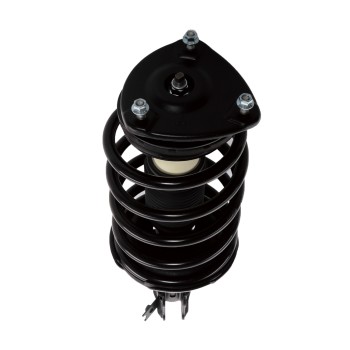 Suspension Strut and Coil Spring Assembly