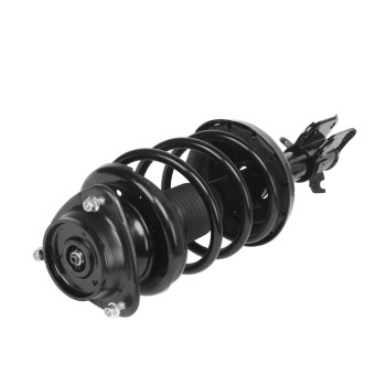 Suspension Strut and Coil Spring Assembly