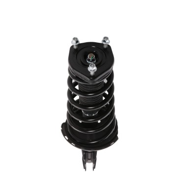 Suspension Strut and Coil Spring Assembly