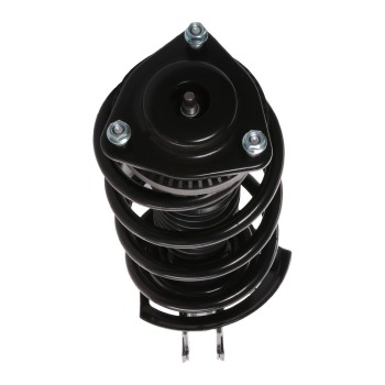 Suspension Strut and Coil Spring Assembly