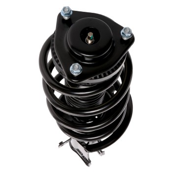 Suspension Strut and Coil Spring Assembly