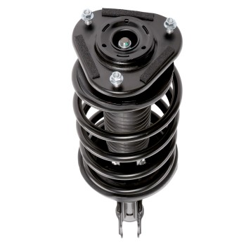 Suspension Strut and Coil Spring Assembly