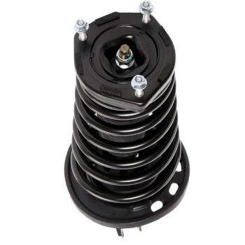 Suspension Strut and Coil Spring Assembly