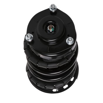 Suspension Strut and Coil Spring Assembly