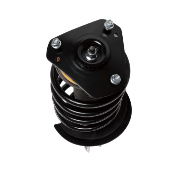 Suspension Strut and Coil Spring Assembly