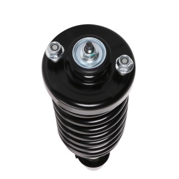 Suspension Strut and Coil Spring Assembly