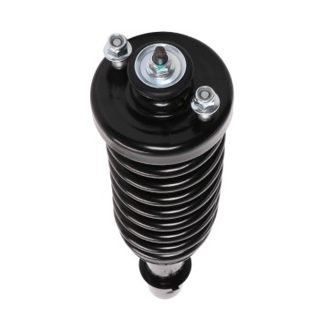 Suspension Strut and Coil Spring Assembly