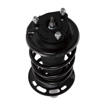 Suspension Strut and Coil Spring Assembly