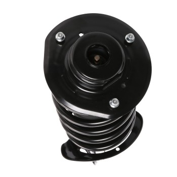 Suspension Strut and Coil Spring Assembly