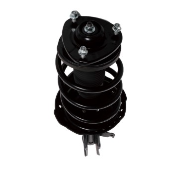 Suspension Strut and Coil Spring Assembly
