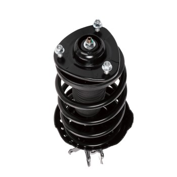 Suspension Strut and Coil Spring Assembly