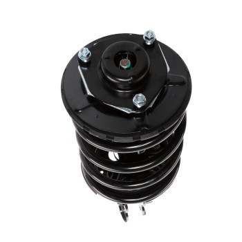 Suspension Strut and Coil Spring Assembly