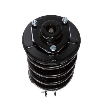 Suspension Strut and Coil Spring Assembly