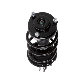 Suspension Strut and Coil Spring Assembly