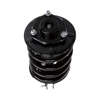 Suspension Strut and Coil Spring Assembly