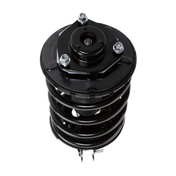 Suspension Strut and Coil Spring Assembly
