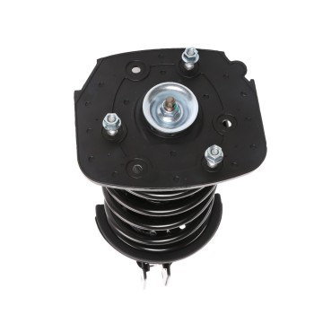 Suspension Strut and Coil Spring Assembly