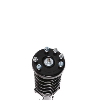 Suspension Strut and Coil Spring Assembly