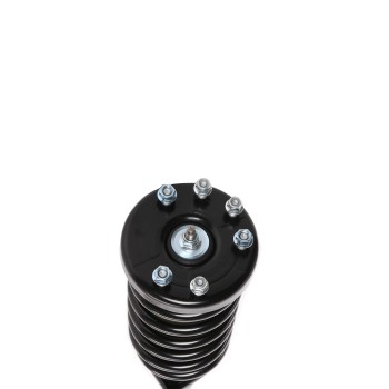 Suspension Strut and Coil Spring Assembly