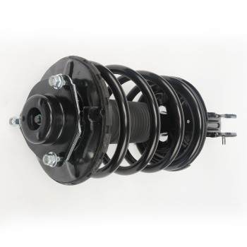 Suspension Strut and Coil Spring Assembly