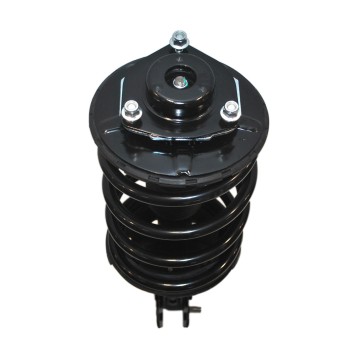 Suspension Strut and Coil Spring Assembly