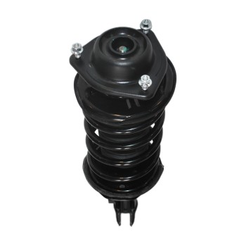 Suspension Strut and Coil Spring Assembly