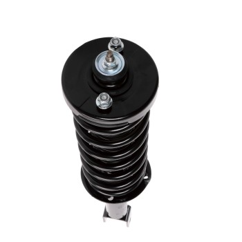 Suspension Strut and Coil Spring Assembly