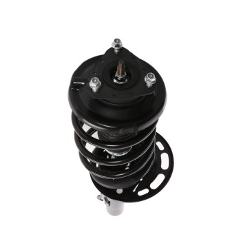 Suspension Strut and Coil Spring Assembly