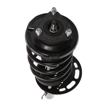 Suspension Strut and Coil Spring Assembly