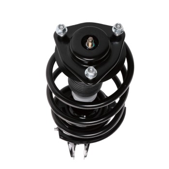 Suspension Strut and Coil Spring Assembly