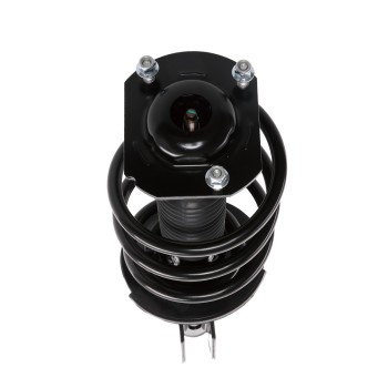 Suspension Strut and Coil Spring Assembly