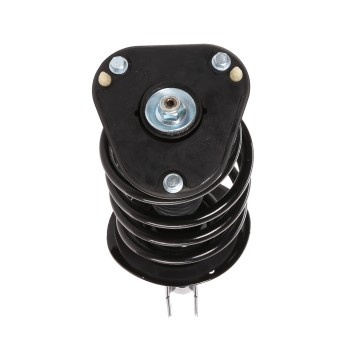 Suspension Strut and Coil Spring Assembly